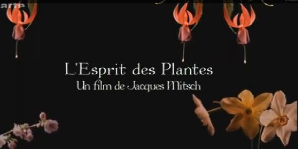 L'Esprit des plantes