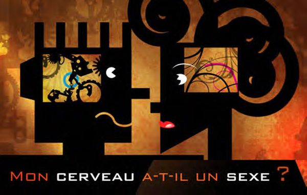 Mon cerveau a-t-il un sexe ?