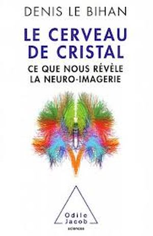 Le cerveau de cristal ; ce que nous révèle la neuro-imagerie