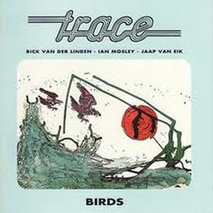 Birds - Short Edit