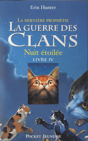Nuit étoilée