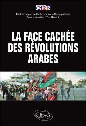 La face cachée des révolutions arabes