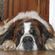 Avatar Elsaintbernard Avatar Elsaintbernard