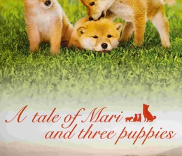 image-https://media.senscritique.com/media/000004411325/0/a_tale_of_mari_and_three_puppies.png