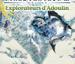 image-https://media.senscritique.com/media/000004413329/0/final_fantasy_xi_online_explorateurs_d_adoulin.png