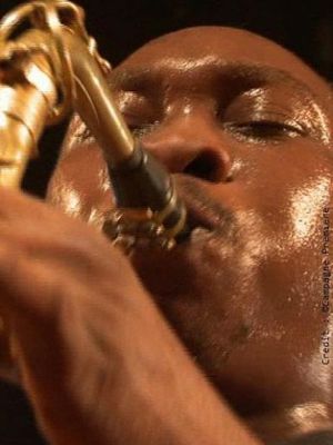 Seun Kuti and Egypt 80, "Afrobeat Rules"
