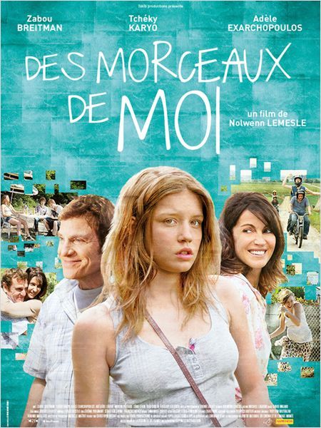 Des Morceaux De Moi Des morceaux de moi - Film (2013) - SensCritique