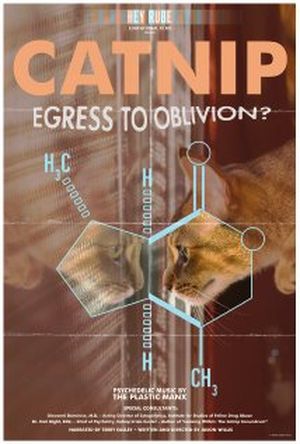 Catnip - Egress to oblivion ?