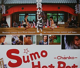 image-https://media.senscritique.com/media/000004446074/0/sumo_hot_pot.png