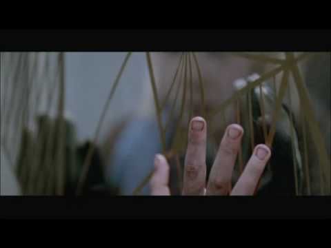 Bande-annonce de Morse