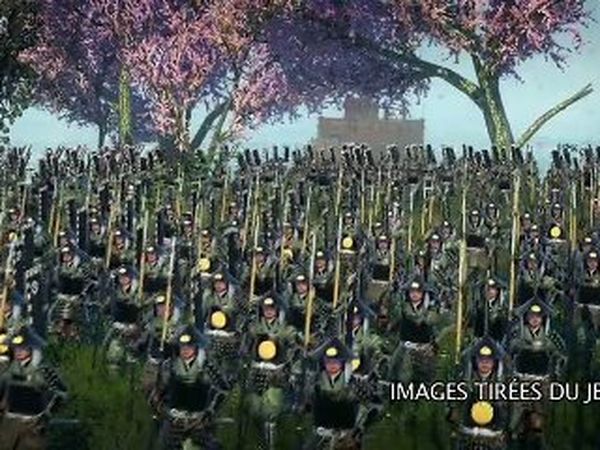 Total War: Shogun 2