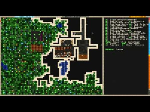 Dwarf Fortress