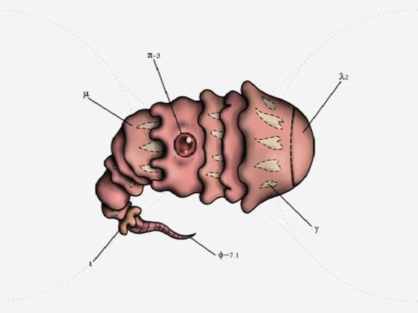 Classification systématique du vivant extraterrestre