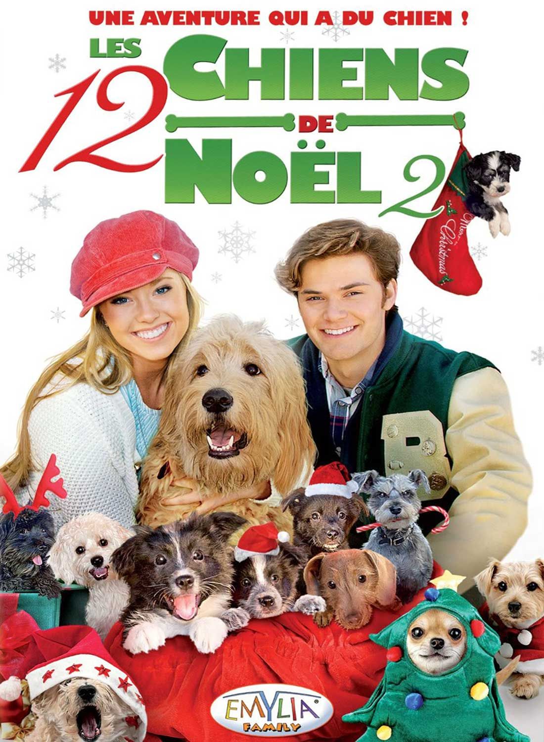 Les 12 Chiens De Noël 2 Film 2012 Senscritique