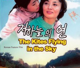 image-https://media.senscritique.com/media/000004464327/0/the_kites_flying_in_the_sky.png