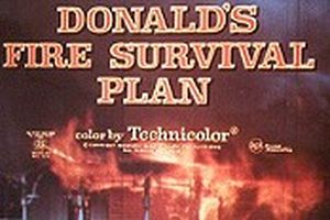 Donald's Fire Survival Plan