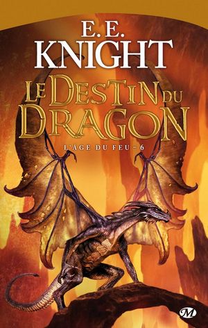 Le Destin du Dragon - L'Age du feu, tome 6
