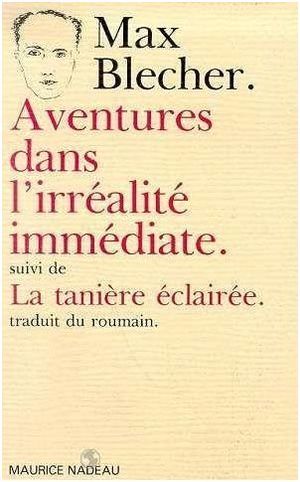 Aventures dans l'irrealite immediate / la tanniere eclairee