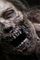 Cover Zombie