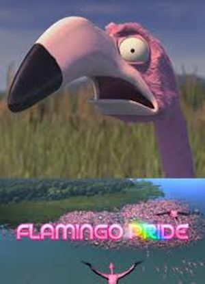 Flamand rose pride