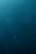 Cover Cette fameuse scène où le héros tombe à l'eau et voit apparaître...