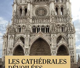 image-https://media.senscritique.com/media/000004613066/0/les_cathedrales_devoilees.jpg