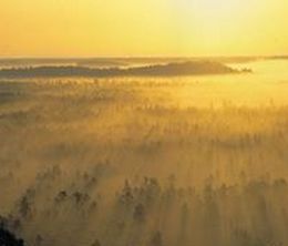 image-https://media.senscritique.com/media/000004627243/0/flight_over_lithuania_or_510_seconds_of_silence.jpg