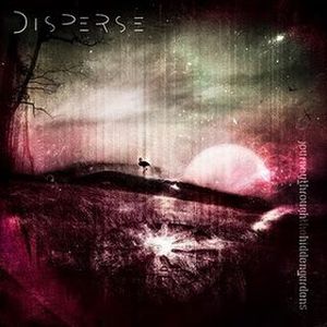 On the Windows of a Dove