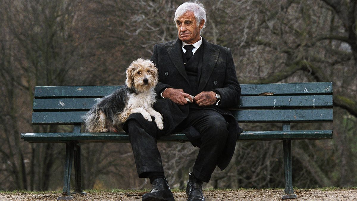 Jean Paul Belmondo Un Homme Et Son Chien Un homme et son chien - Film (2009) - SensCritique