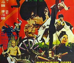 image-https://media.senscritique.com/media/000004689428/0/bruce_lee_le_tigre_de_mandchourie.jpg