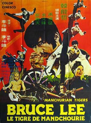 Bruce Lee, le tigre de Mandchourie