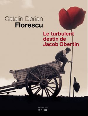 Le Turbulent Destin de Jacob Obertin