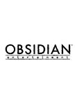 Obsidian Entertainment