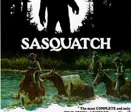 image-https://media.senscritique.com/media/000004713196/0/sasquatch_the_legend_of_bigfoot.jpg