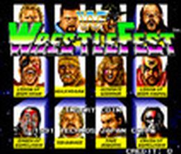 image-https://media.senscritique.com/media/000004749760/0/WWF_Wrestle_Fest.jpg