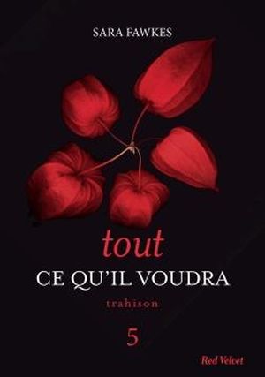 Tout ce qu'il voudra, tome 5