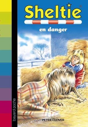 Sheltie en danger