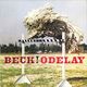 Pochette Odelay