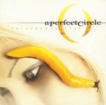 Pochette Thirteenth Step