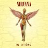 Pochette In Utero