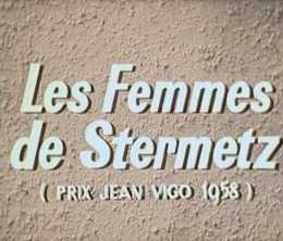 image-https://media.senscritique.com/media/000004799398/0/les_femmes_de_stermetz.jpg