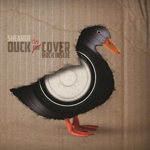 Duck on Cover