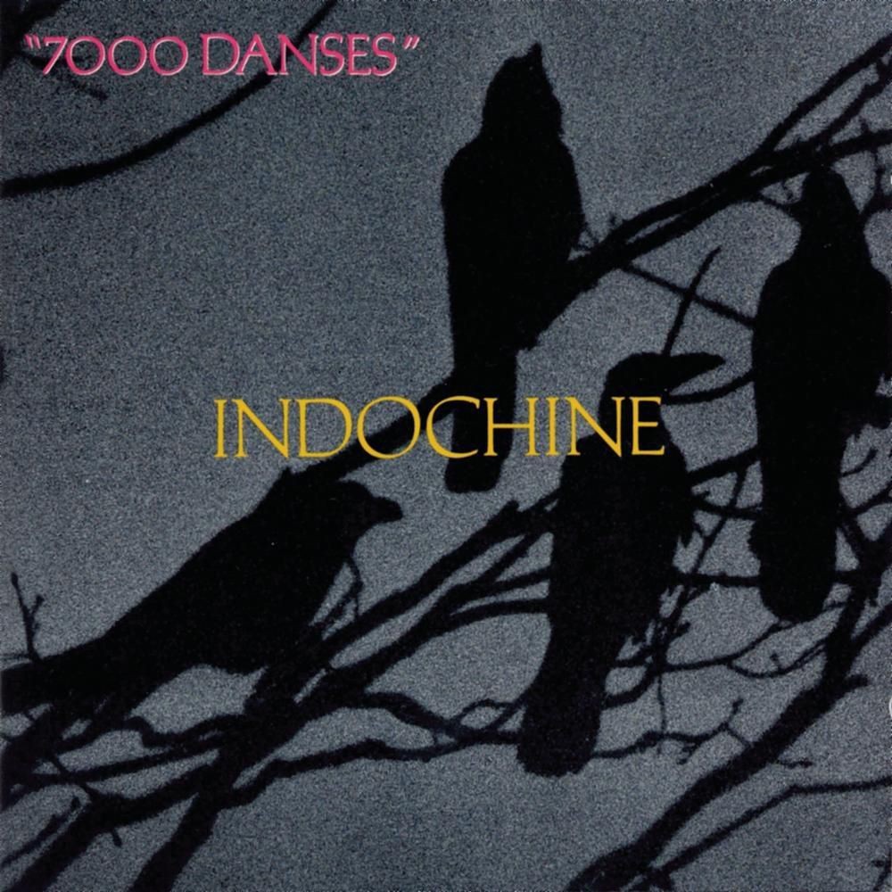 Les Meilleurs Titres Pour Danser Le Rock 7000 danses - Indochine - SensCritique
