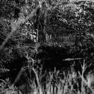 Clarity Within Your Confusion