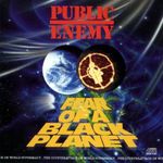 Pochette Fear of a Black Planet