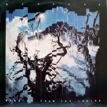 Pochette Burning From the Inside