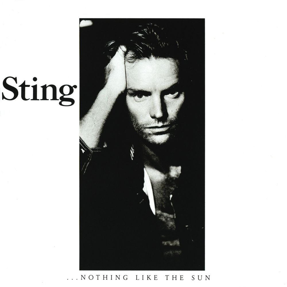 Nothing Like the Sun by Anthony Burgess