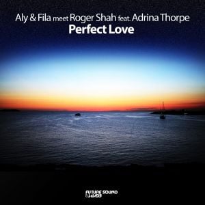 Perfect Love (Single)