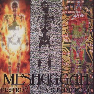Destroy Erase Improve
