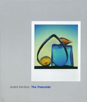 André Kertesz : The Polaroids